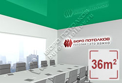 Натяжной потолок L69 зеленый трилистника глянцевый (лак) 36 м2 (MSD Premium)