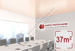 Натяжной потолок S24 небеленый шелк сатиновый 37 м2 (MSD Premium)