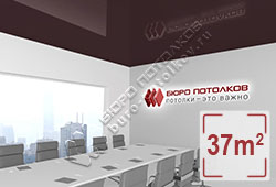 Натяжной потолок L83 оливково-сермяжный глянцевый (лак) 37 м2 (MSD Premium)