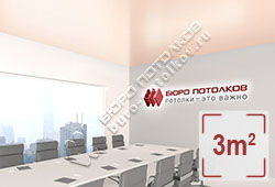 Натяжной потолок S24 небеленый шелк сатиновый 3 м2 (MSD Premium)